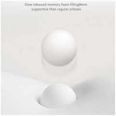 dd25376c2c54545557a75ffce6b83676